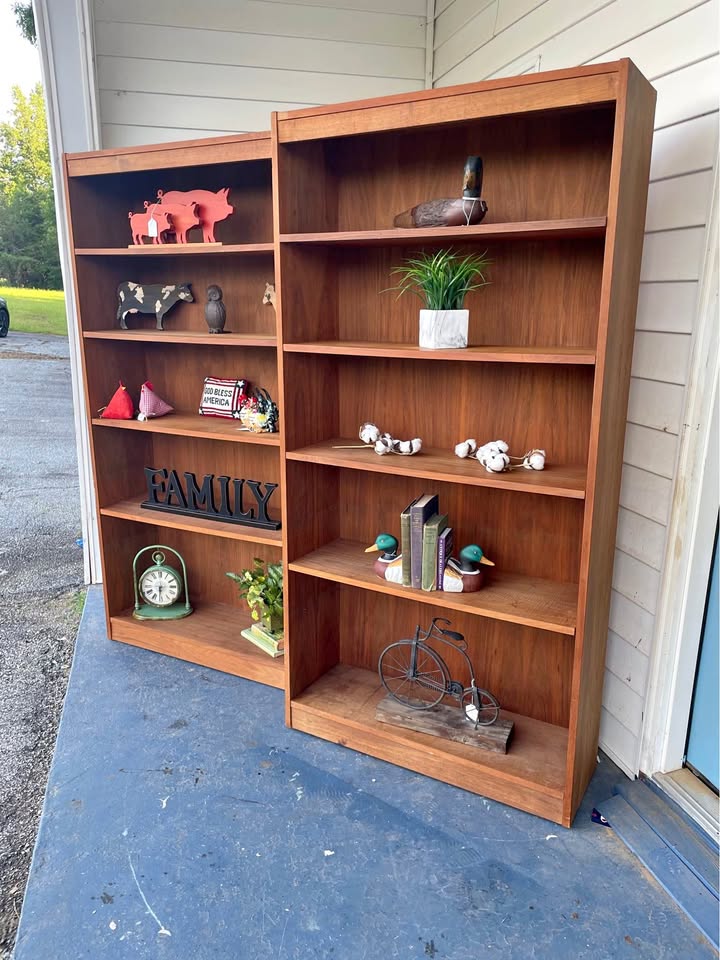 Pair of Modern Style Bookcases
